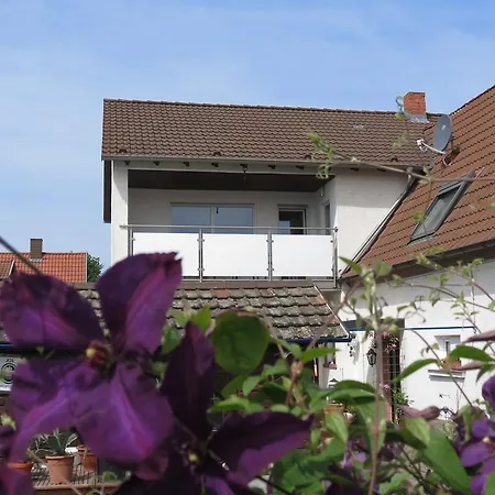 House Appartamento *